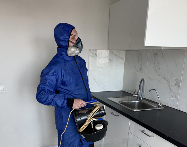Дезинсекция в Мурино
